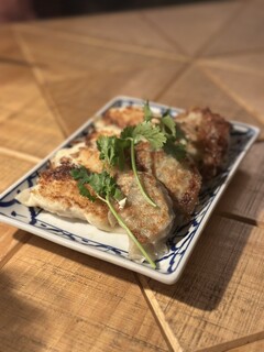 軽井沢酵素風呂とタイ食堂。 - ポンさんのタイ風餃子(ミックス)