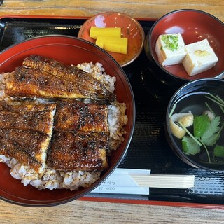 うなぎのやまもと_0