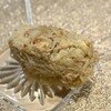 千住 しげ - 