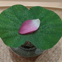 櫻木 - 