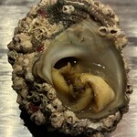 くずし鉄板 あばぐら - 鉄板焼　兵庫県香住漁港直送栄螺　羅臼昆布の出汁