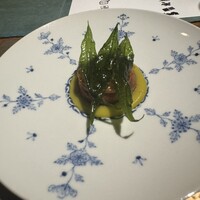 マキノンチ - 