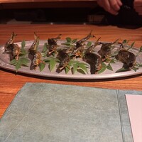 マキノンチ - 