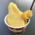 やんばるジェラート - 料理写真: