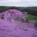 ひがしもこと芝桜公園売店 - 