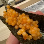 島津 - いくら （追加