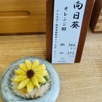 フラワーおはぎ専門店 Oh!huggy‼︎ - 