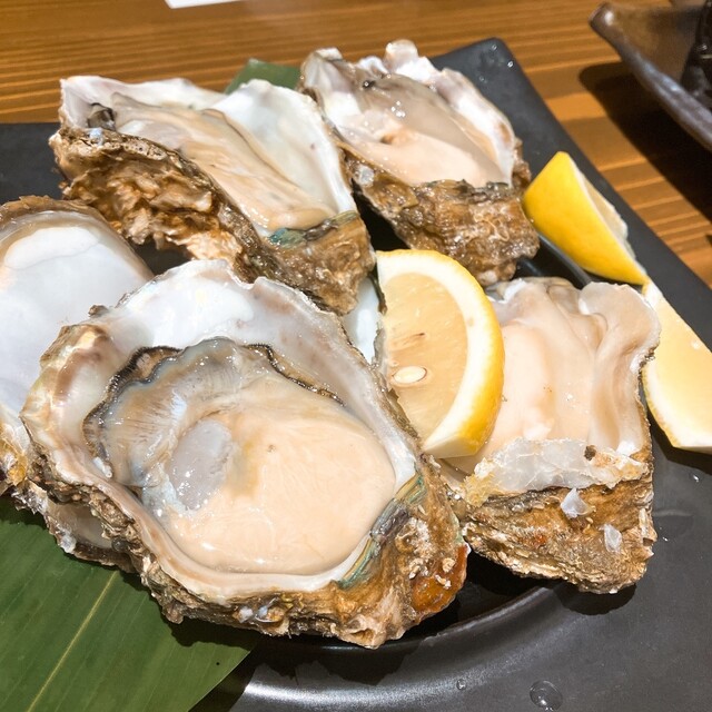 家庭料理おか &ndash; 山形の居酒屋で味わう本格和食とくつろぎ空間