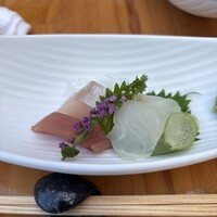 先斗町 四季 よし菜 - 