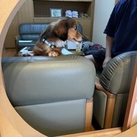 葉山 日影茶屋 - 