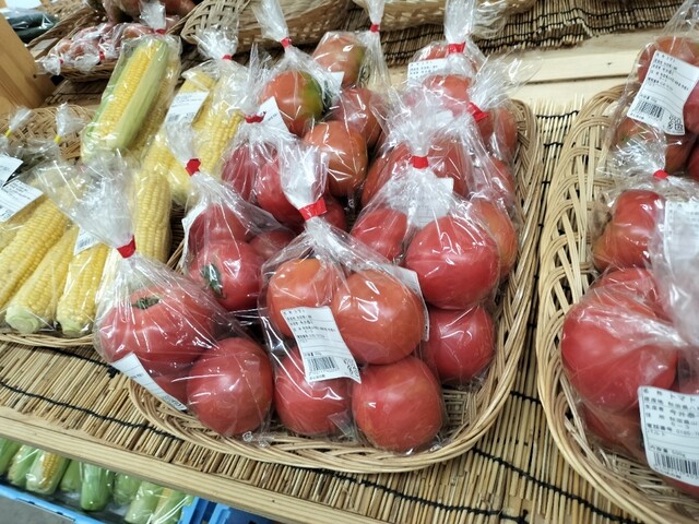 道の駅みねはま おらほの館 - 鳥形（道の駅）