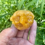 ヌードル＆スパイスカレー 今日の1番 - 店主からのサプラーーーイズ！　2/2