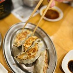 楽っかせい。 - 餃子