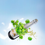 タンテ グラッツィェ - 