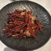 CINA New Modern Chinese - 