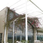 Greenpoint Brasserie - 