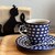 サザコーヒー - ドリンク写真:本日のコーヒー ホット(ケニア) 580円