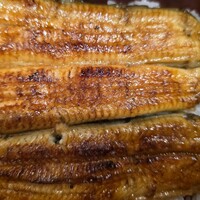 うなぎ割烹 白金台 まつ本 - 