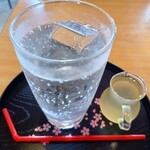 氷問屋 野澤屋 - ゆずスカッシュ