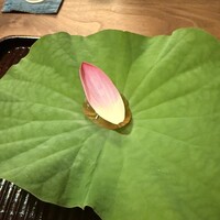 鎌倉 北じま - 