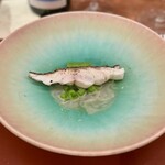 北野坂 木下 - お魚好きになる