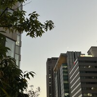 ゼックスウエスト ザ バー - 