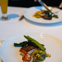 THE COSMOPOLITAN GRILL BAR TERRACE - 