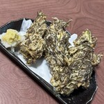 居酒屋 松乃屋 - 