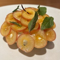 ル スプートニク - 