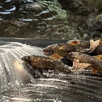 貴船べにや - 