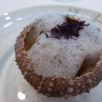 アムール - カプチーノ泡