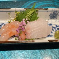札幌 鮨 よこ田 - 