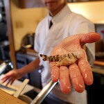 揚げたて天ぷら豊 - 