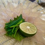 天然とらふぐ専門 六本木浜藤 - 