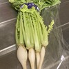 佐佐木商店