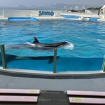 オーシャン - 最高のひと時をありがとう