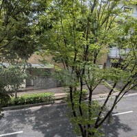 スパッツィオ･イノ - 