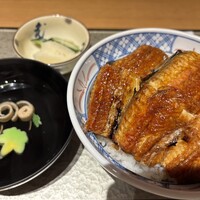 炭焼きうなぎ・かしわ 登河 池下店 - 