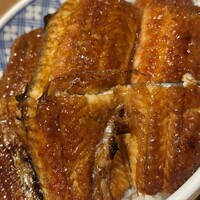 炭焼きうなぎ・かしわ 登河 池下店 - 