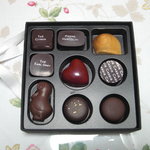 ピエール マルコリーニ - マルコリーニ エボリューション