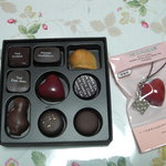 ピエール マルコリーニ - マルコリーニ エボリューション