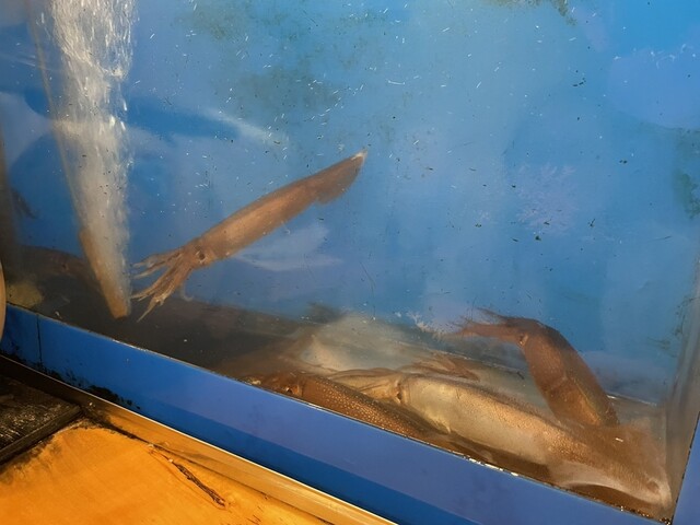 魚がし - 本八戸（居酒屋）の写真