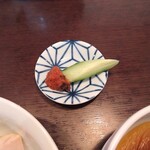 人力俥 - 胡瓜，梅