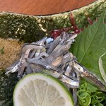 郷土料理 大衆割烹 ほづみ亭 - 