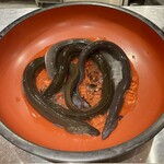 参宮橋 あさや - 