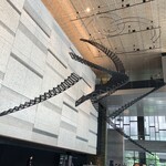 ミュージアム カフェ - 