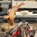 炉ばた 海彦山彦 - 