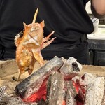 炉ばた 海彦山彦 - 