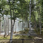 ピエトリ－ノ - 