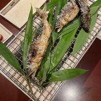 吉星 - 